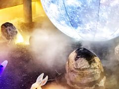 -享月汤皇·海鲜小火锅·聚会(曲江创意谷店)