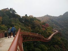 -少华山国家森林公园