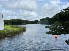 -济州森林小火车生态公园