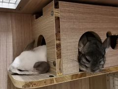 -龙猫仔乐园(惠福东路店)