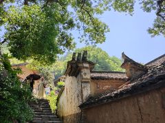 -杨家堂村
