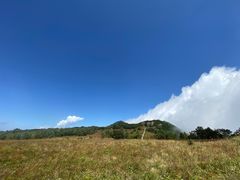 -白草畔自然风景区