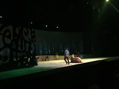 -cavalia·舞马
