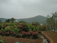 -石塘人家