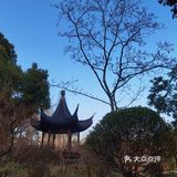莘庄公园的江南园林风格🎻