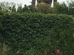 -三鹰之森吉卜力美术馆