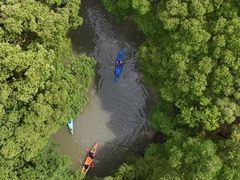 -动邦皮划艇·桨板·独木舟·团建户外运动俱乐部
