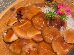 -季季山·云南野生菌火锅(上海首店)