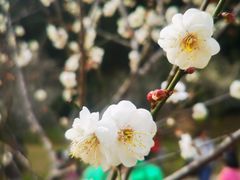 -广州市白云山风景名胜区