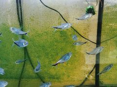 -布梵·台式热敷古法按摩Massage·Spa(品尊国际店)