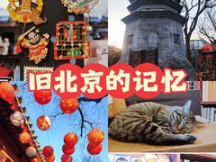-正阳书局(西四南大街店)