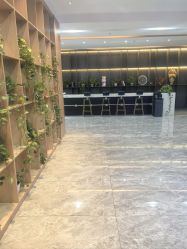 -碧莲盛·不剃发植发