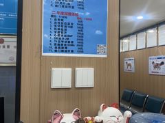 -米苏动物医院·犬猫专科·骨科外科内窥镜