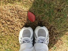 -艾溪湖湿地公园