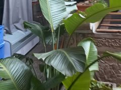 -香满楼(临安路店)