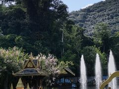 -西双版纳原始森林公园