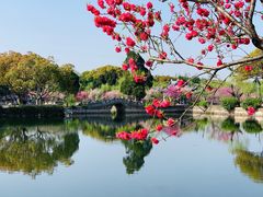 -无锡蠡湖国家湿地公园-蠡园