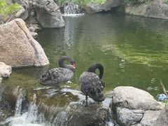 -罗红摄影艺术馆