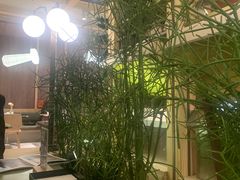 -一坐一忘云南菜(卓悦中心)