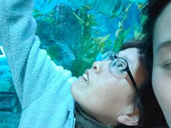 -芜湖新华联大白鲸海洋公园