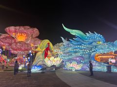-淄博花灯齐彩城