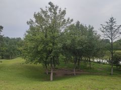 -永定河休闲森林公园