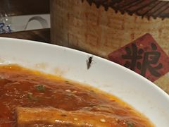 -小四川菜馆(托乐嘉店)