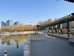 -莲花池公园