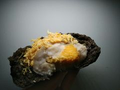 咸蛋黄嘟嘟-奈雪的茶(花城汇中区PRO店)