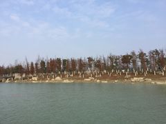 -滆湖低碳生态公园