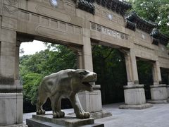 -灵谷景区