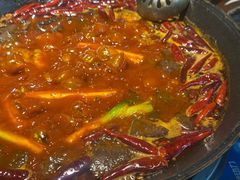 -阳阳老火锅(小南门店)