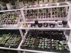 -KKV(深圳宏发大仟里店)