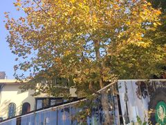 -马灯部落·西湖边的创意山景餐厅(虎跑动物园店)