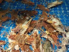 -健眺小海鲜(临海后山店)