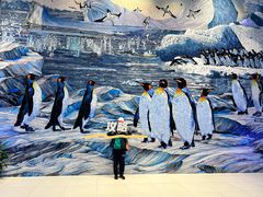 -帝企鹅自助餐厅•儿童岛•真企鹅(长隆企鹅酒店)