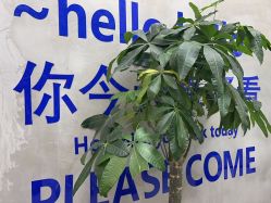 -DK SALON连锁专业烫染接发店