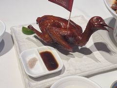 -侨美食家·41年地道粤菜(珠江新城店)