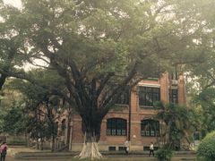 iphone_upload_pic-中山大学学者灵芝(园南路店)