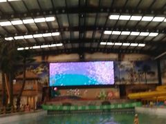 -南宫温泉水世界