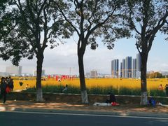 -光明小镇欢乐田园