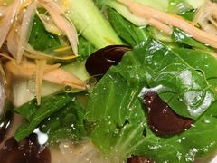 -陈麻婆豆腐(旗舰店)