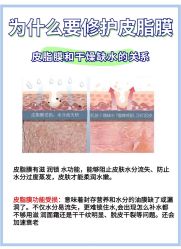 点击看大图 -玛莲朵·海菲秀冰珀科
