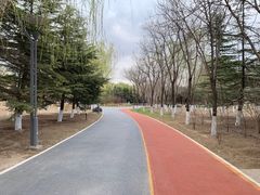 -大兴滨河森林公园