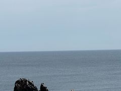 -涉地可支