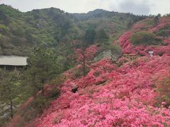 -木兰云雾山