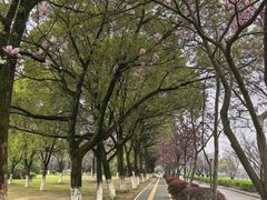 -艾溪湖湿地公园