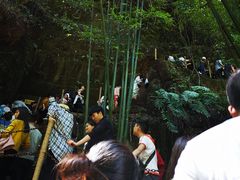 -川西竹海景区