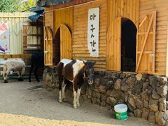 -HERRE·FARM 赫尔露营农场·团建聚会包场