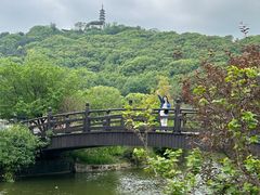 -苏州上方山国家森林公园